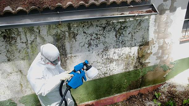 Top rated local Mold Remediation specialists in York, PA